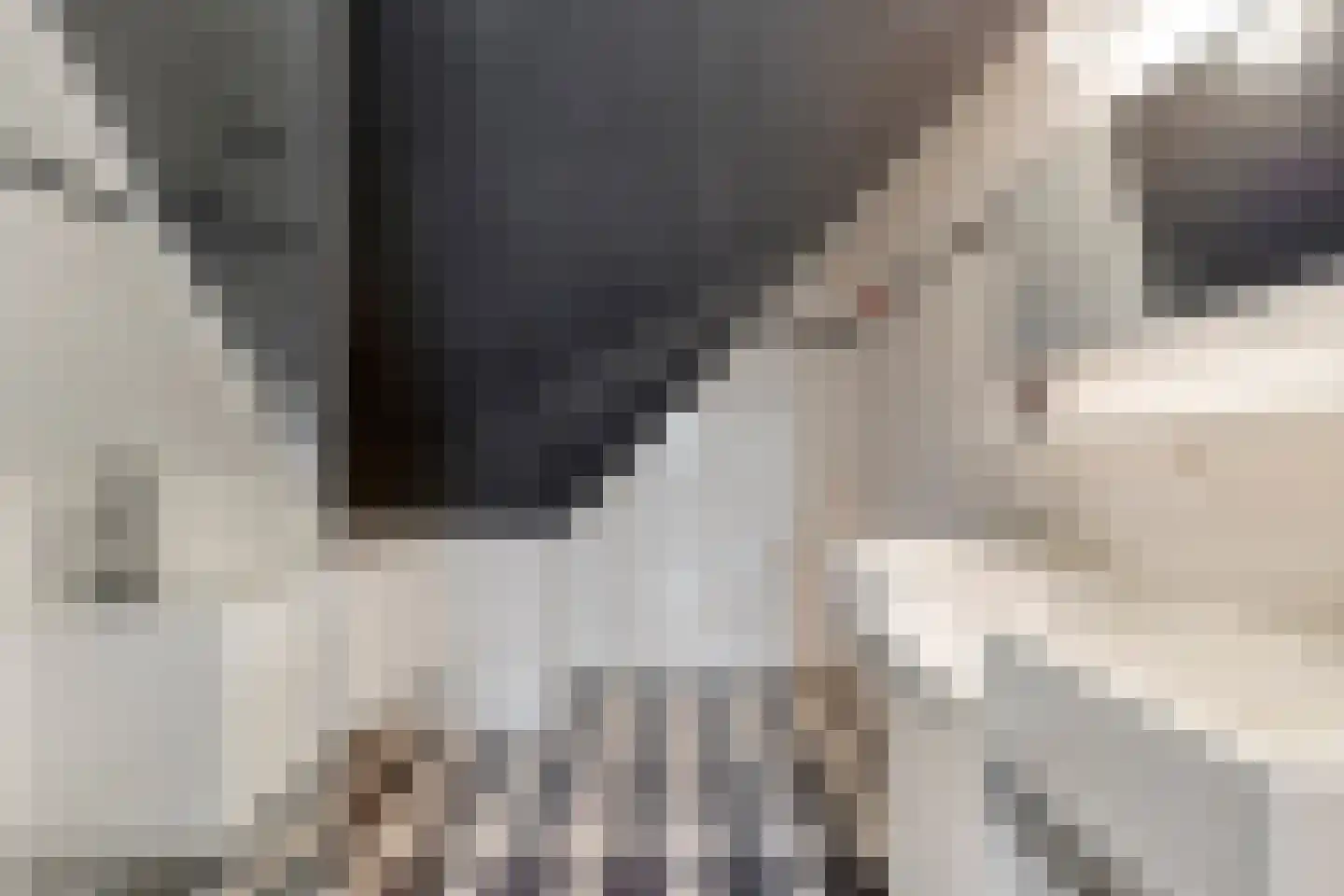 Kornoeljelaan 13 Halsteren thumbnail 38