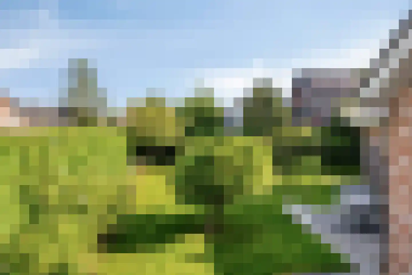 Kornoeljelaan 13 Halsteren thumbnail 43