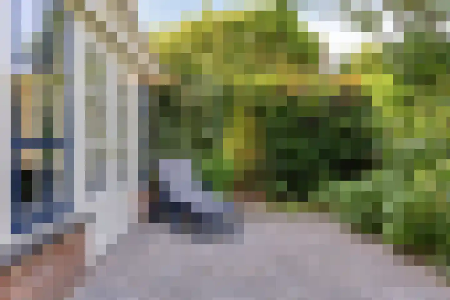 Kornoeljelaan 13 Halsteren thumbnail 47