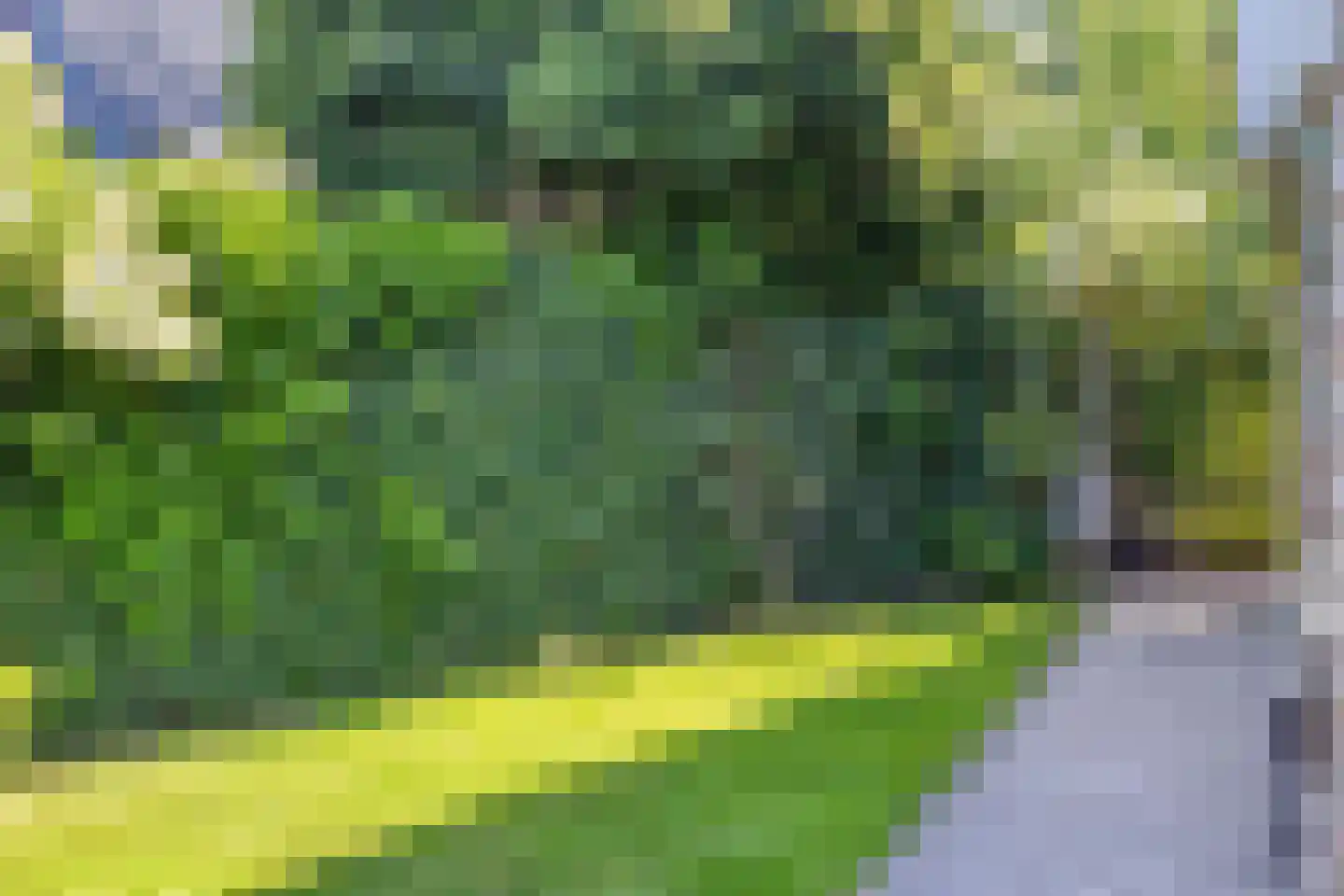 Kornoeljelaan 13 Halsteren thumbnail 48