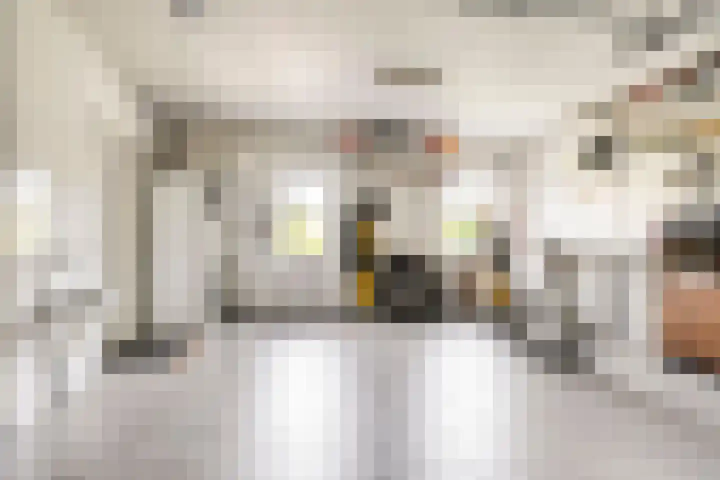 Kornoeljelaan 13 Halsteren thumbnail 50