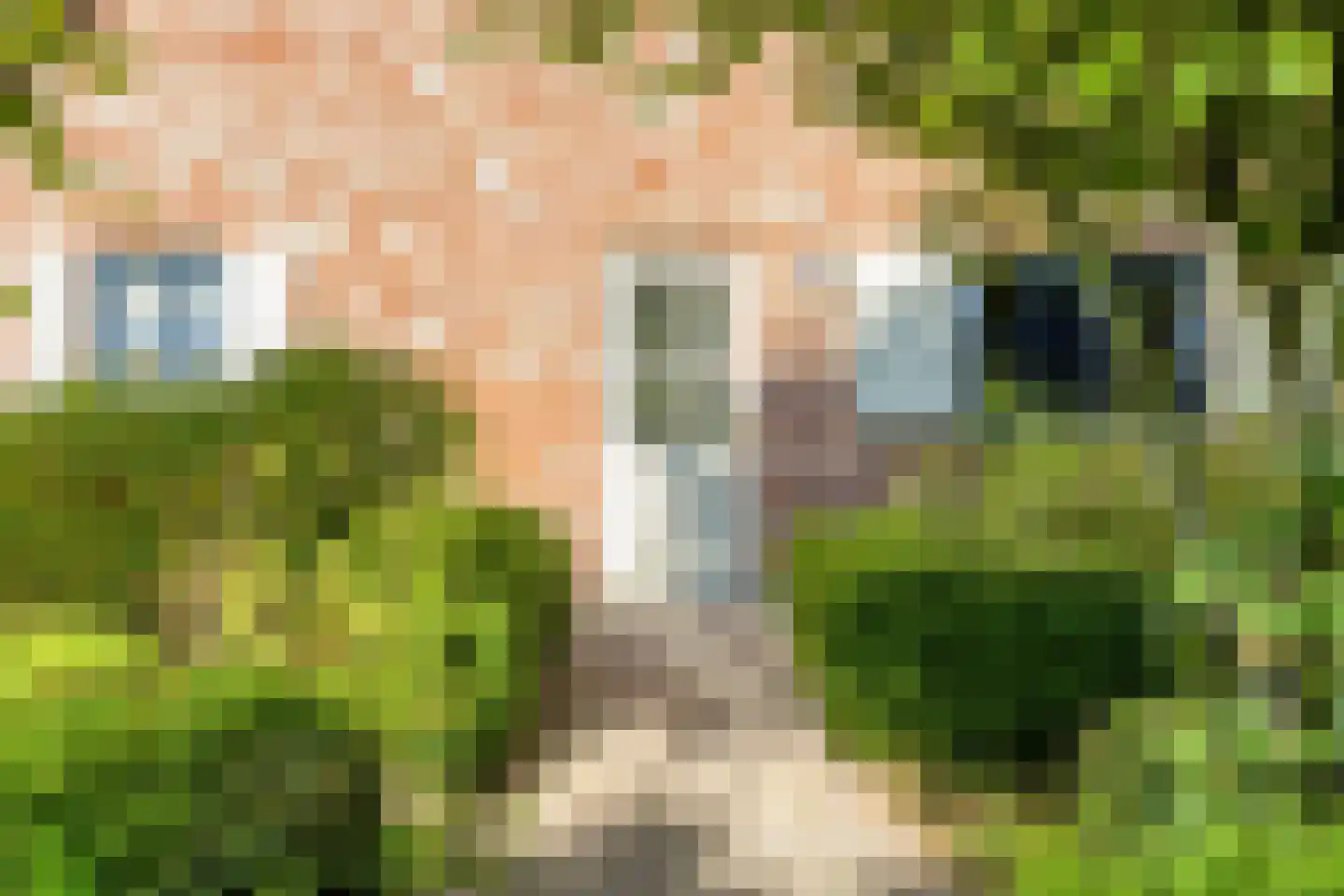 Kornoeljelaan 13 Halsteren thumbnail 53