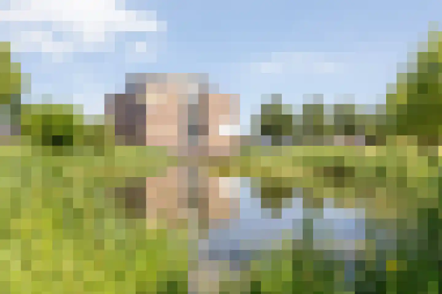 Kornoeljelaan 13 Halsteren thumbnail 60