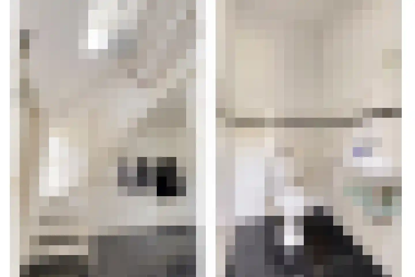 Kornoeljelaan 13 Halsteren thumbnail 8