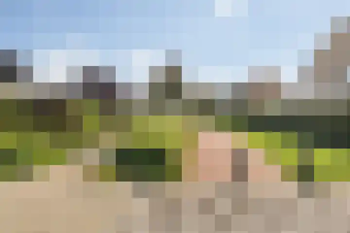 Kornoeljelaan 26 Valkenswaard thumbnail 10