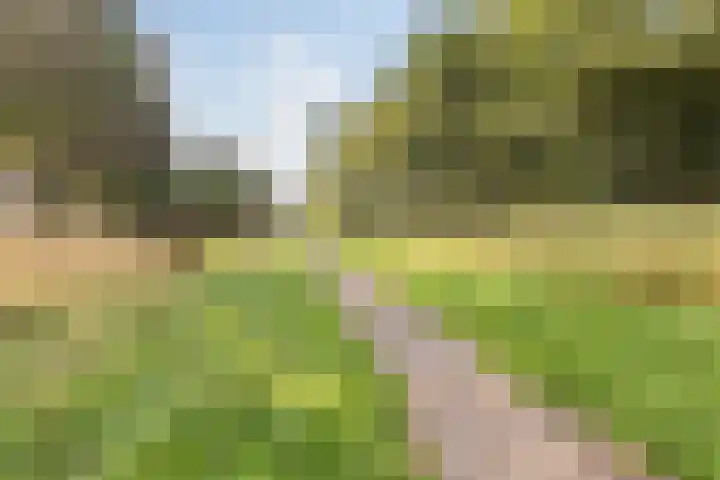 Kornoeljelaan 26 Valkenswaard thumbnail 11
