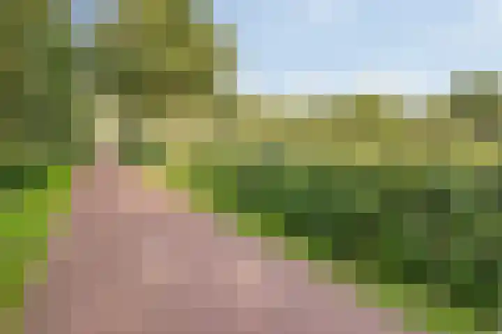 Kornoeljelaan 26 Valkenswaard thumbnail 12