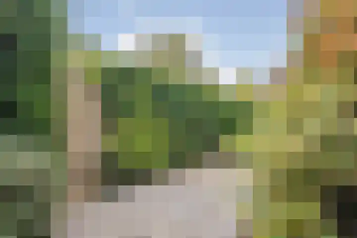 Kornoeljelaan 26 Valkenswaard thumbnail 13