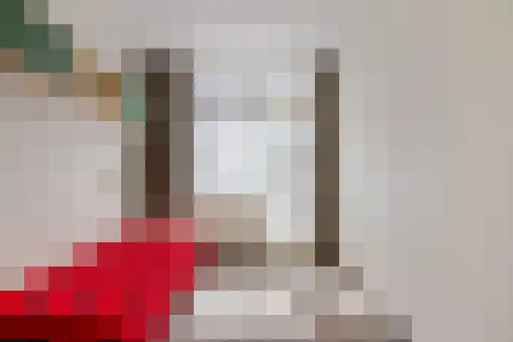 Kornoeljelaan 26 Valkenswaard thumbnail 30