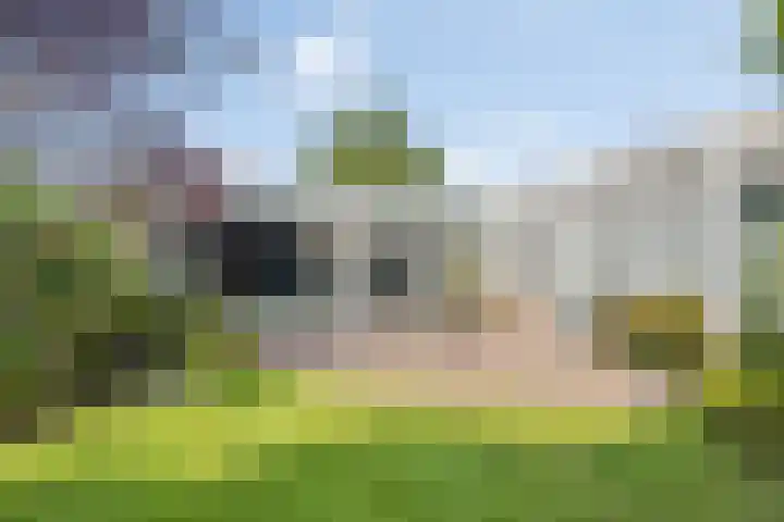 Kornoeljelaan 26 Valkenswaard thumbnail 5