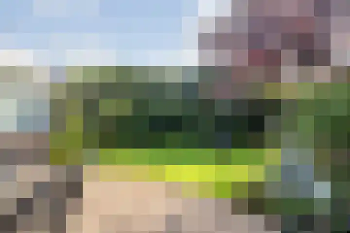 Kornoeljelaan 26 Valkenswaard thumbnail 6
