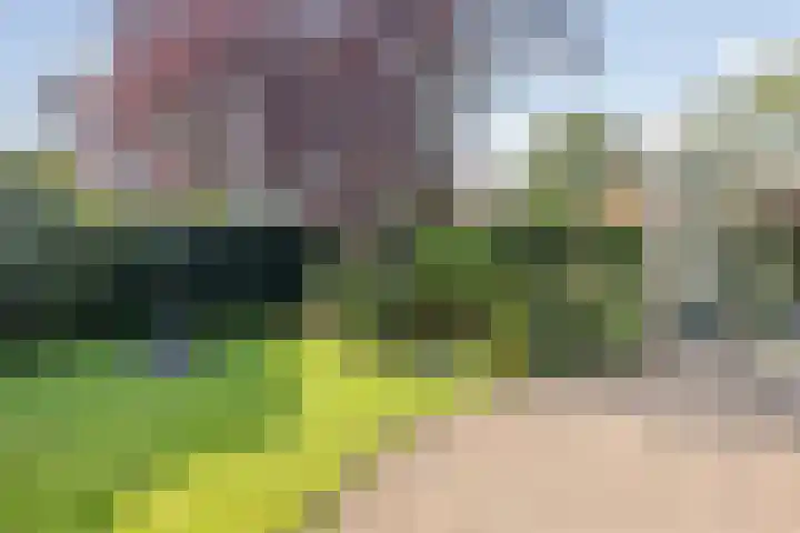 Kornoeljelaan 26 Valkenswaard thumbnail 7