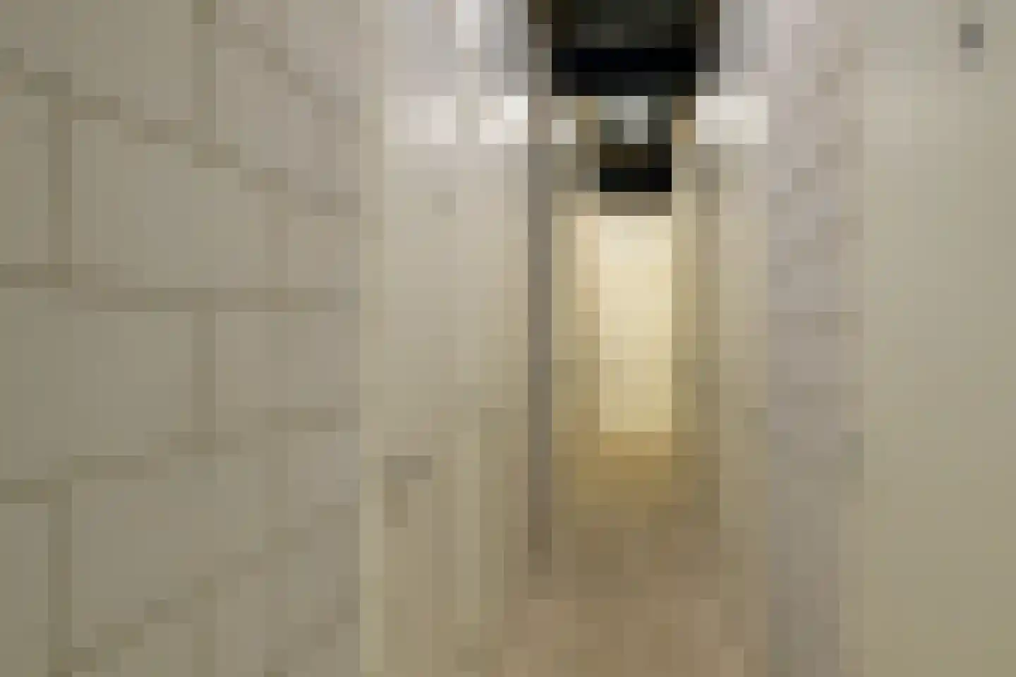 Kornoeljelaan 42 Noordwijkerhout thumbnail 35
