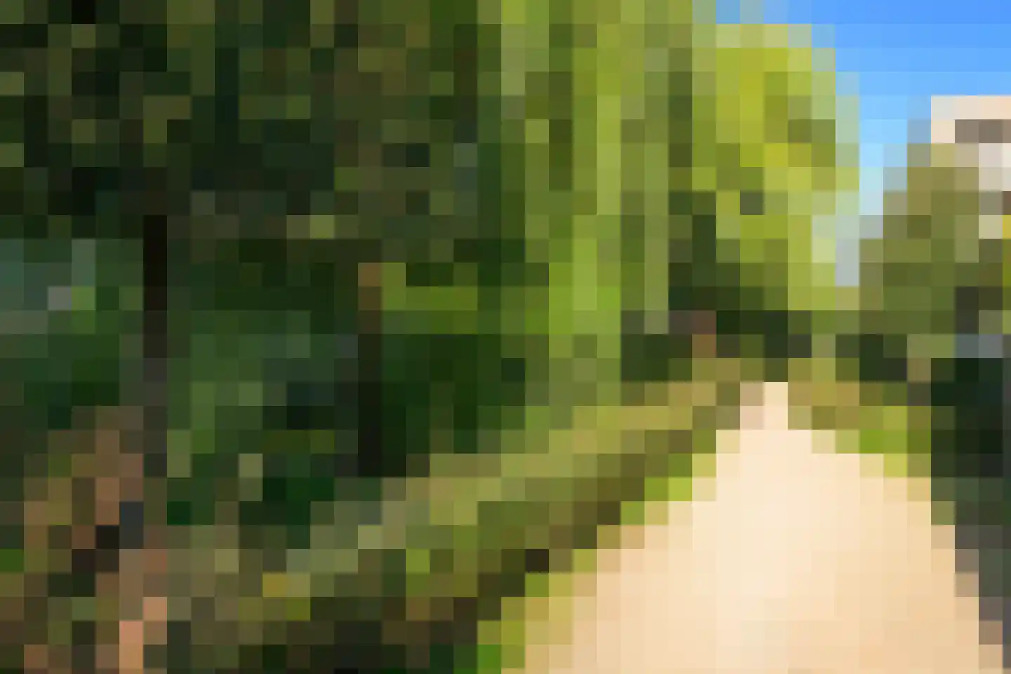 Kornoeljelaan 42 Noordwijkerhout thumbnail 37