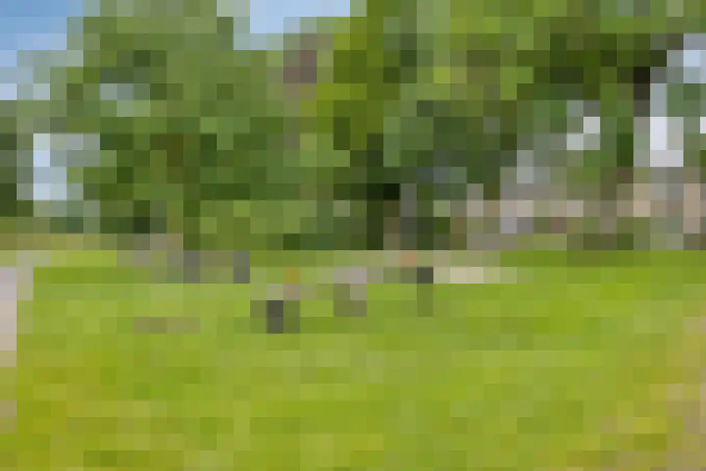 Kornoeljelaan 48 Valkenswaard thumbnail 31
