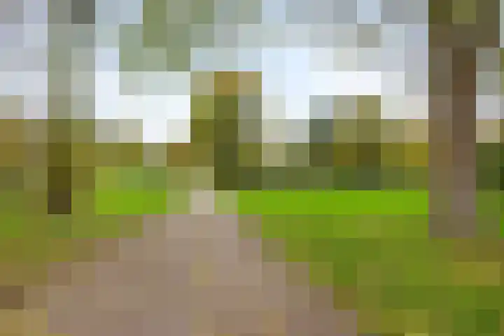 Kornoeljelaan 54 Valkenswaard thumbnail 27