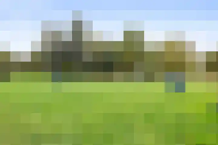 Kornoeljelaan 54 Valkenswaard thumbnail 28