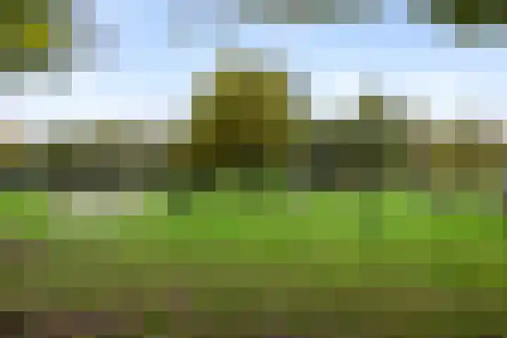 Kornoeljelaan 54 Valkenswaard thumbnail 29