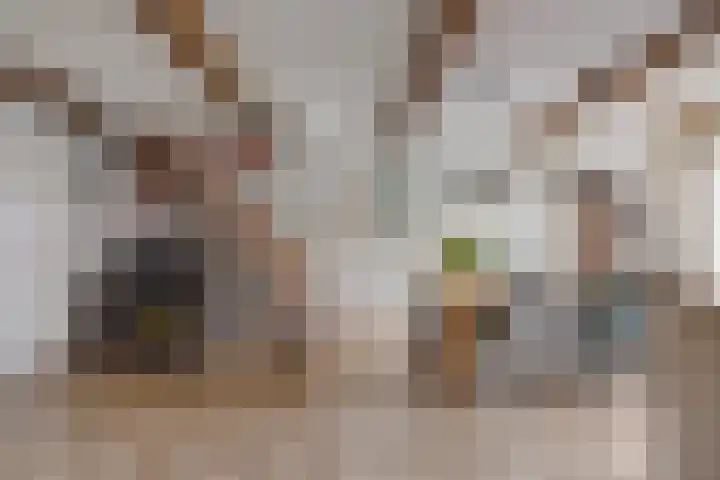 Kornoeljelaan 54 Valkenswaard thumbnail 6