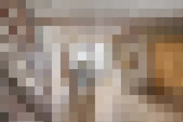 Kornoeljelaan 54 Valkenswaard thumbnail 7