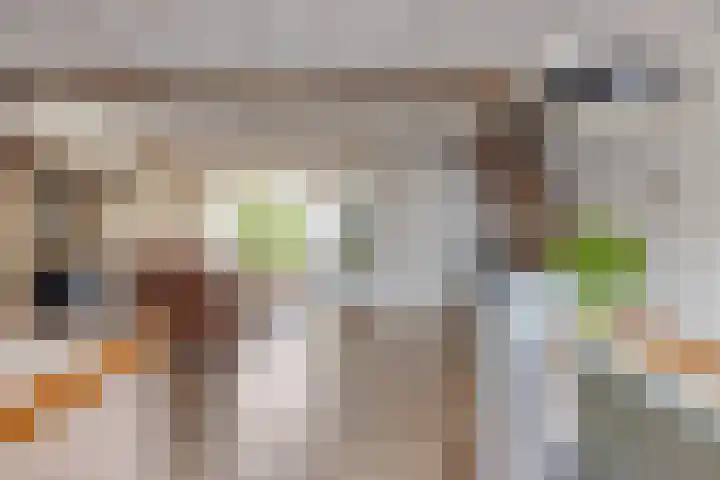 Kornoeljelaan 54 Valkenswaard thumbnail 8