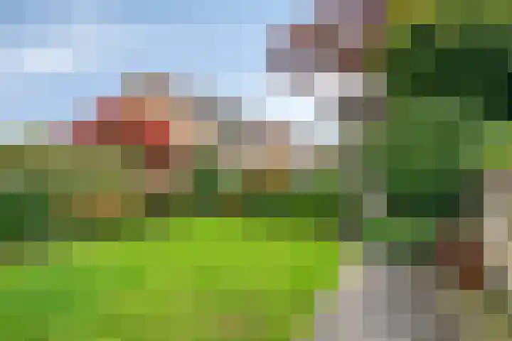 Kornoeljelaan 6 Valkenswaard thumbnail 26