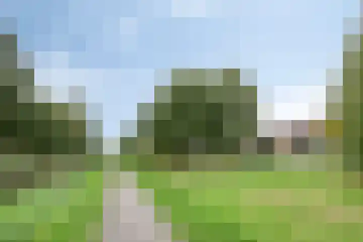 Kornoeljelaan 6 Valkenswaard thumbnail 28
