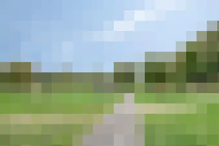 Kornoeljelaan 6 Valkenswaard thumbnail 30