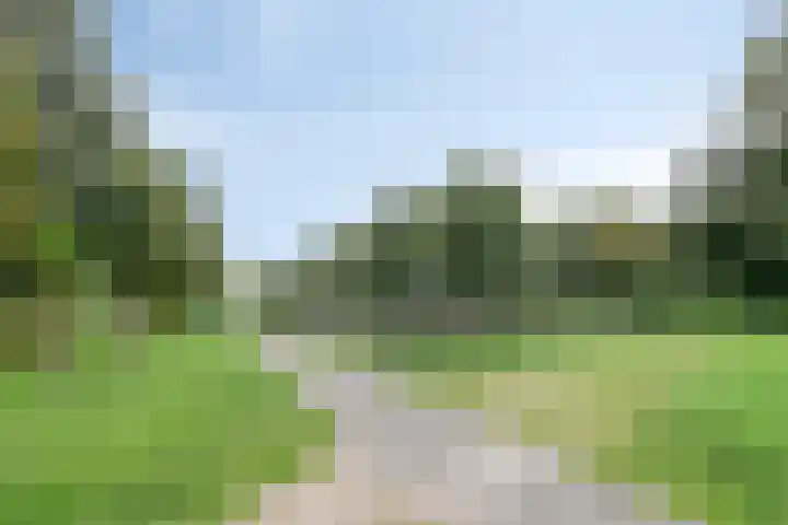 Kornoeljelaan 6 Valkenswaard thumbnail 31