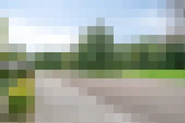 Kornoeljelaan 6 Valkenswaard thumbnail 32