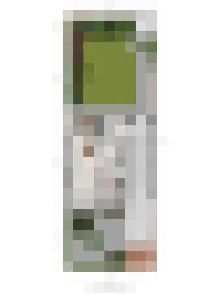 Kornoeljelaan 6 Valkenswaard thumbnail 36