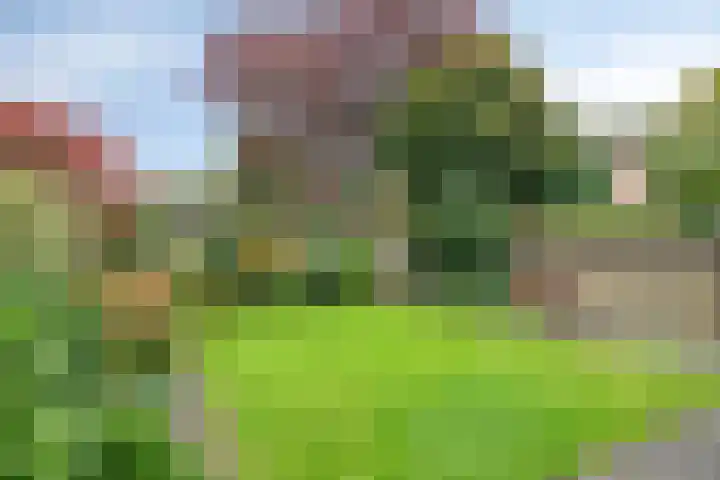 Kornoeljelaan 6 Valkenswaard thumbnail 4