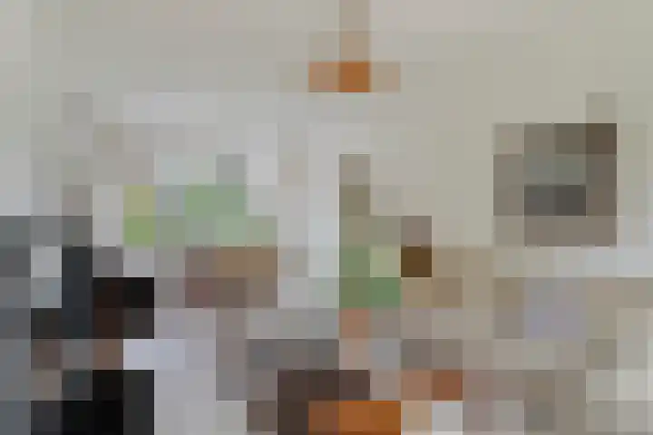 Kornoeljelaan 6 Valkenswaard thumbnail 7