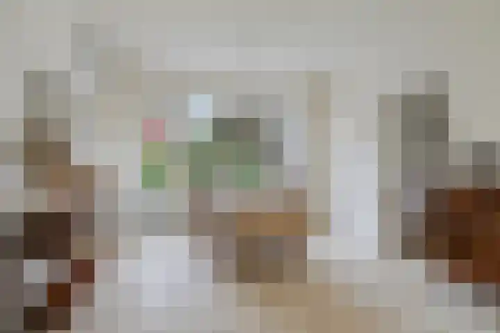 Kornoeljelaan 6 Valkenswaard thumbnail 8