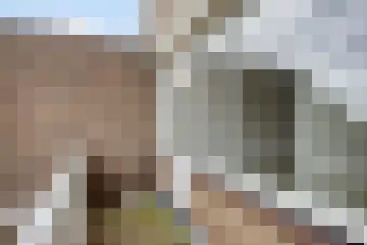 Kornoeljelaan 68 Noordwijkerhout thumbnail 19