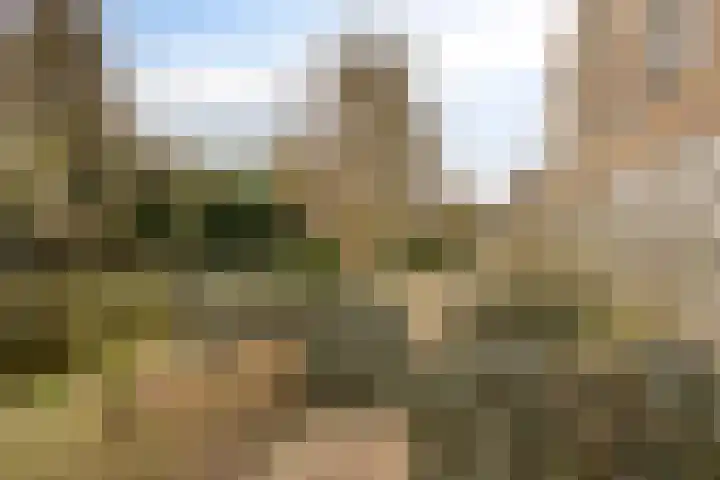 Kornoeljelaan 68 Noordwijkerhout thumbnail 27