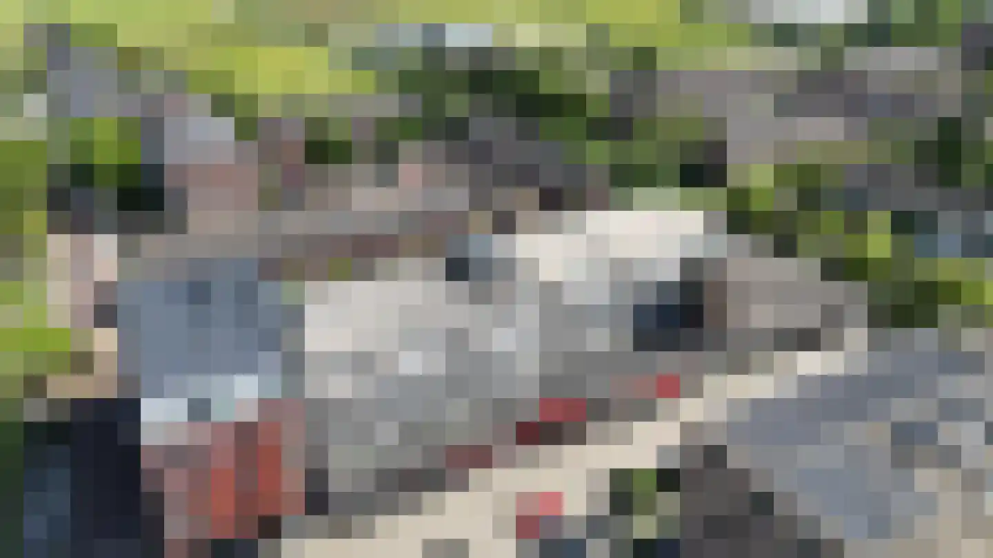 Kornoeljelaan 70 Noordwijkerhout thumbnail 27