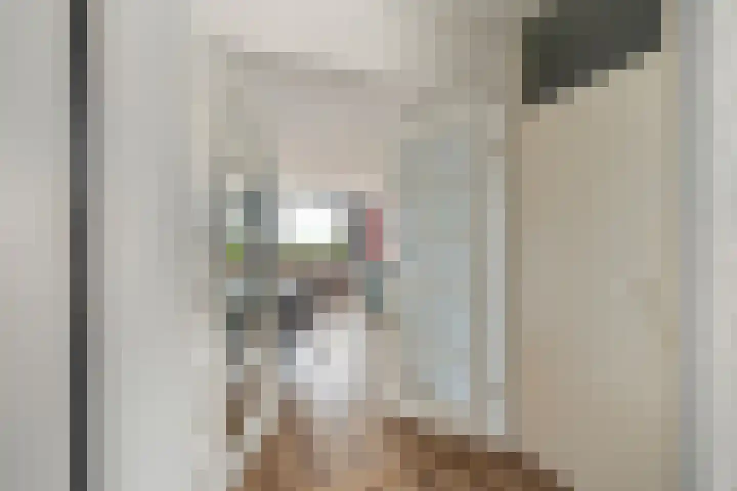 Kornoeljelaan 70 Noordwijkerhout thumbnail 8