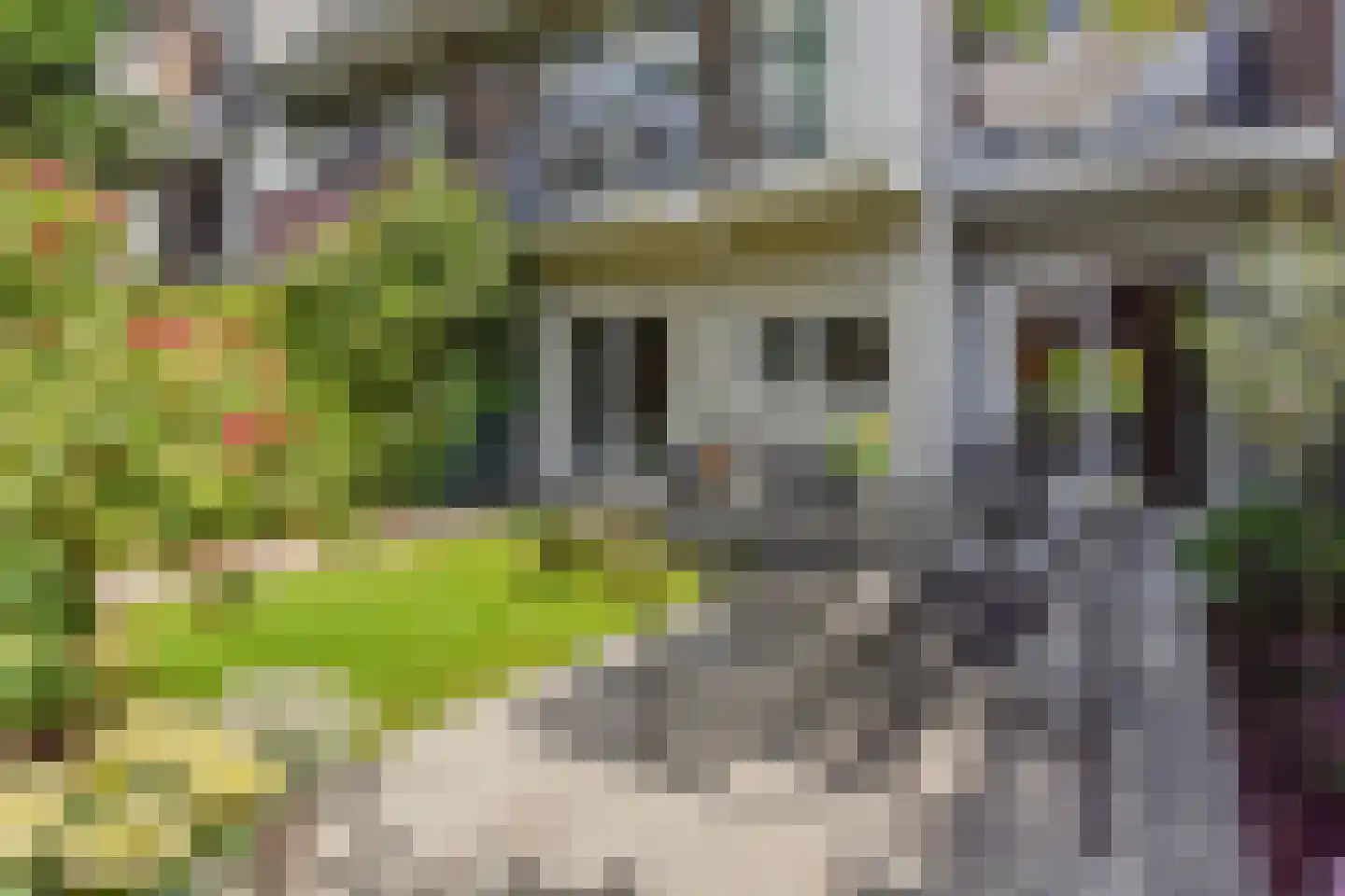 Kornoeljestraat 100 Den Haag thumbnail 33