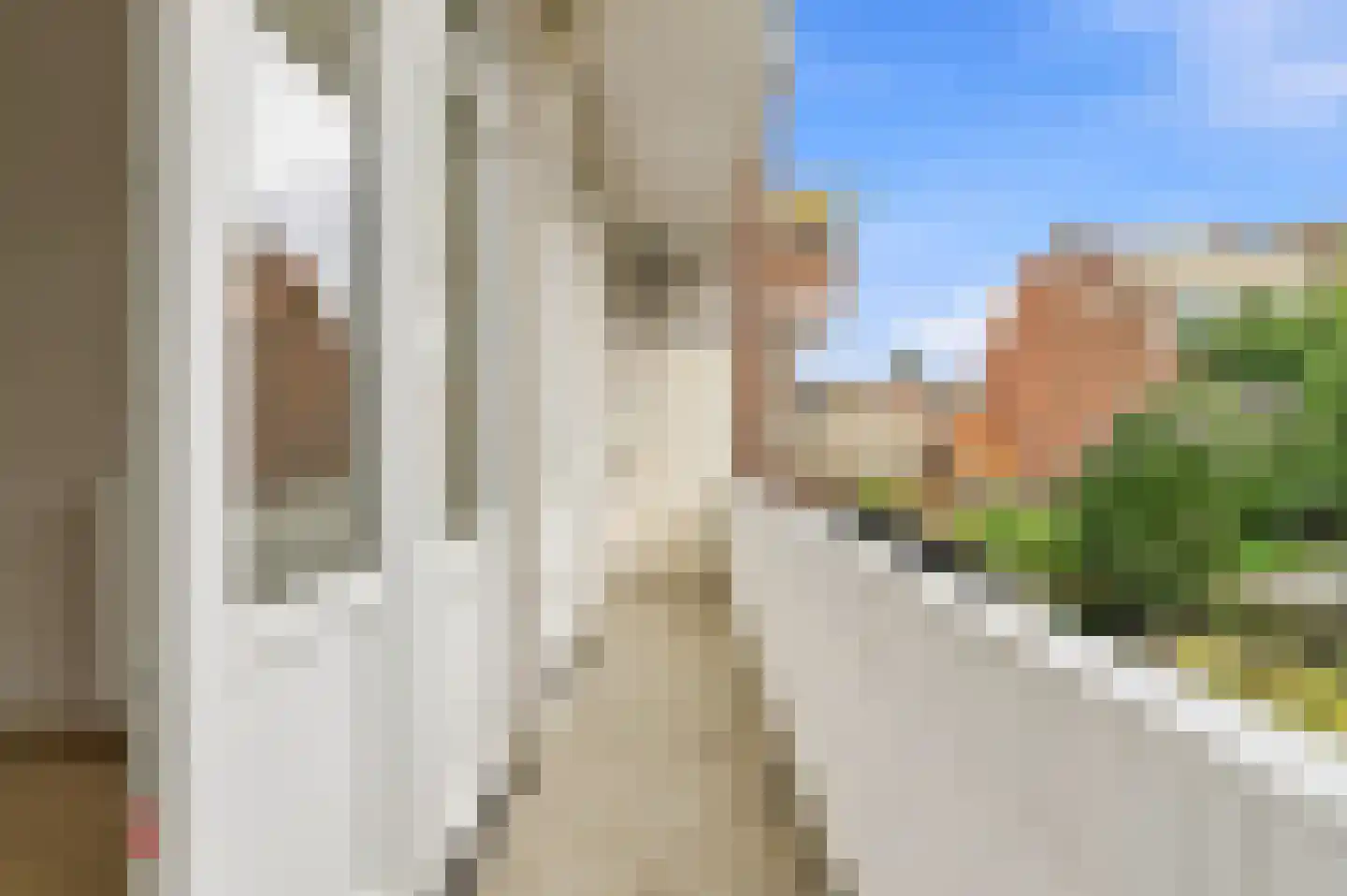 Kornoeljestraat 22 Den Haag thumbnail 29