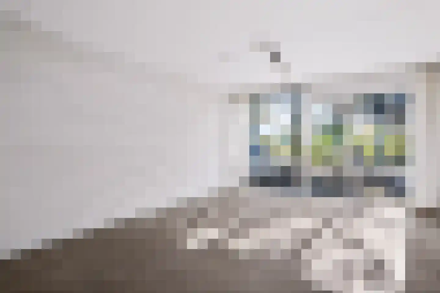Kornoeljeweerd 44 Maastricht thumbnail 14