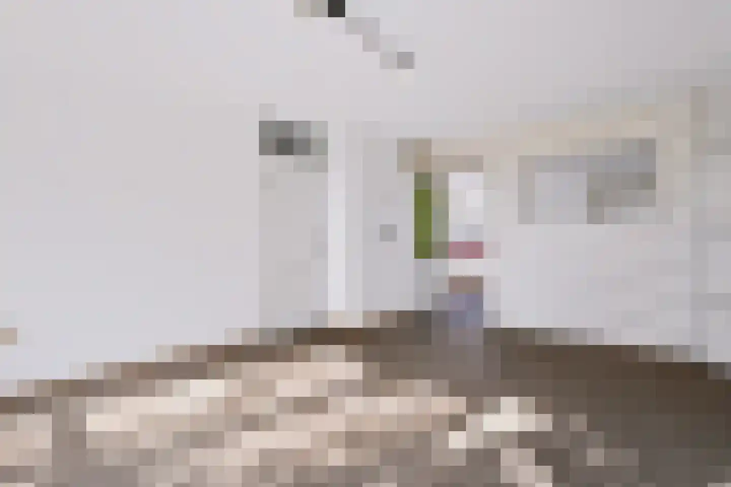 Kornoeljeweerd 44 Maastricht thumbnail 15