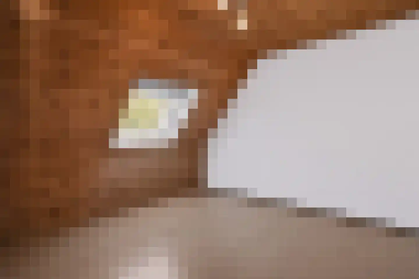 Kornoeljeweerd 44 Maastricht thumbnail 29