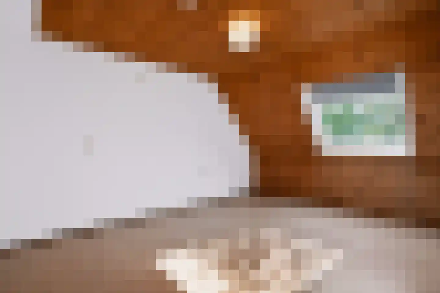Kornoeljeweerd 44 Maastricht thumbnail 5