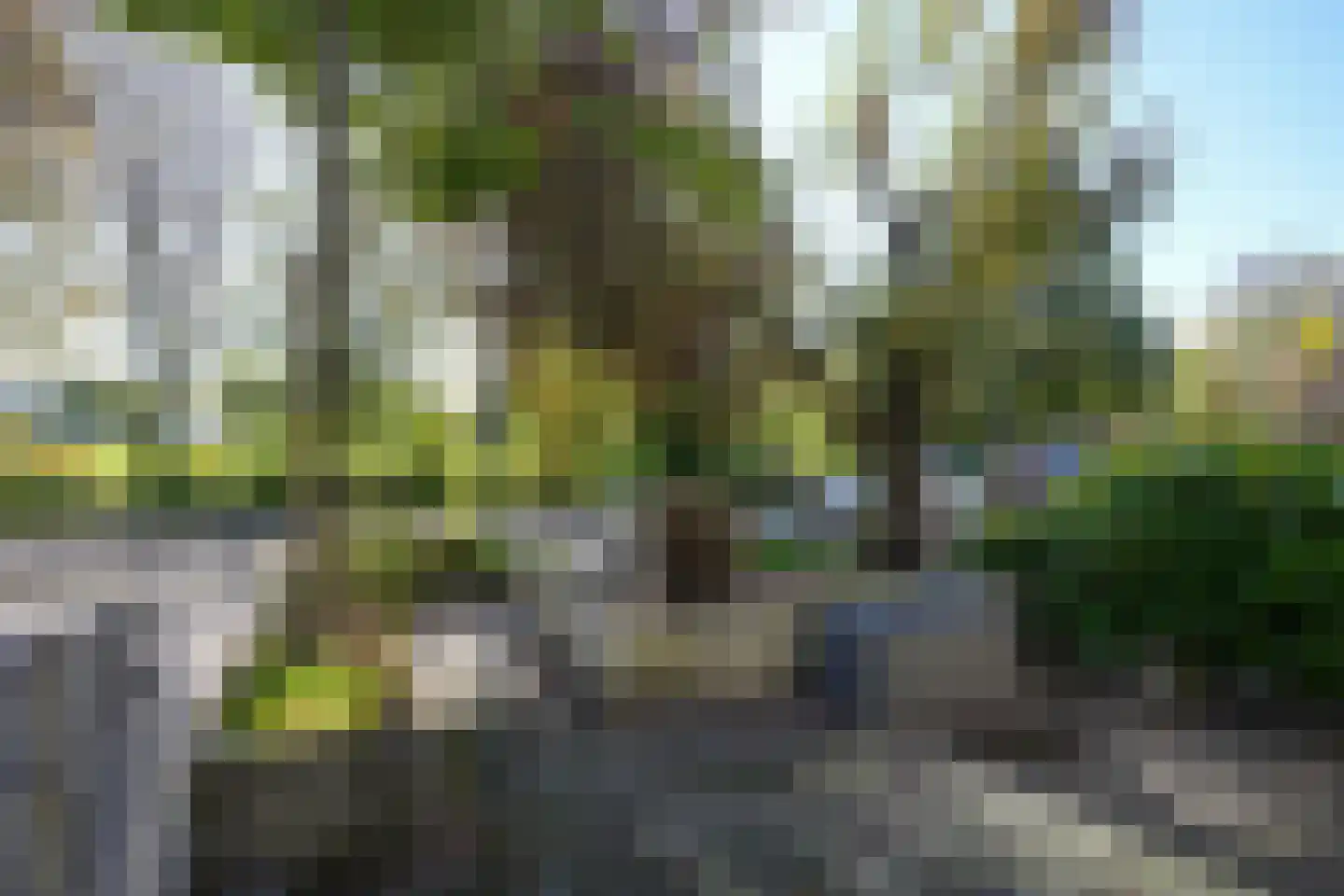 Kornoeljeweerd 44 Maastricht thumbnail 8