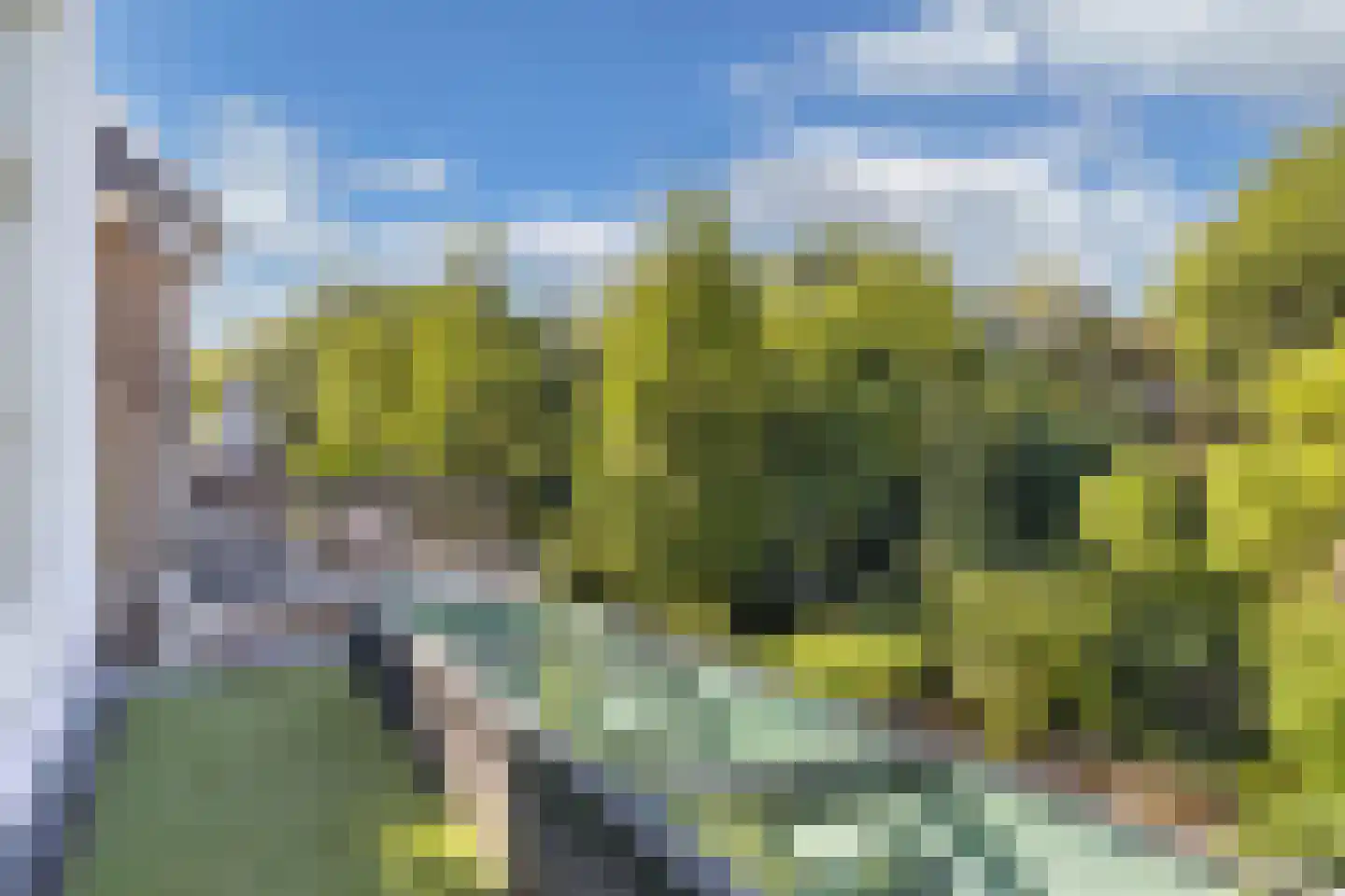 Kornputsingel 18 Steenwijk thumbnail 37