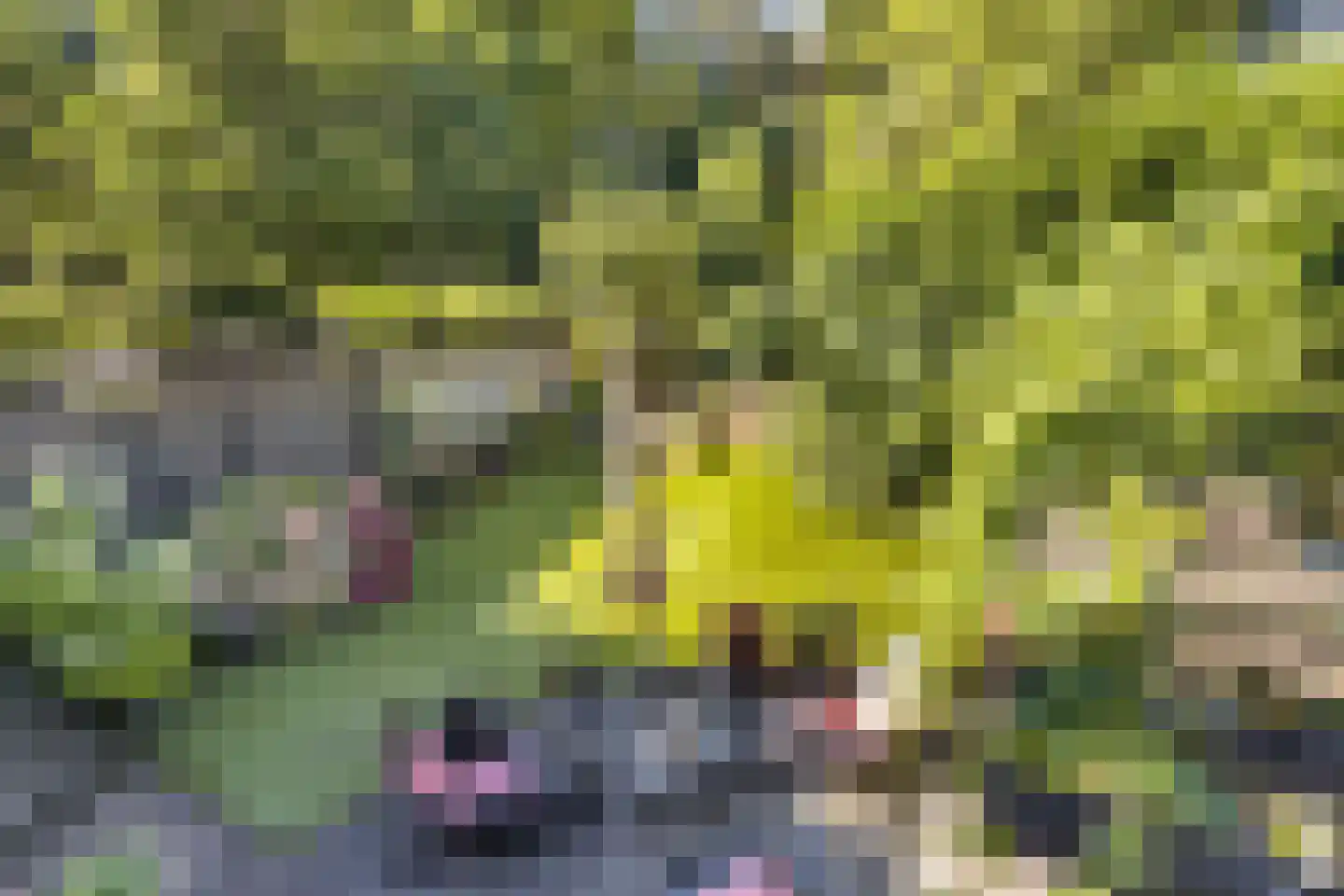 Kornputsingel 18 Steenwijk thumbnail 4