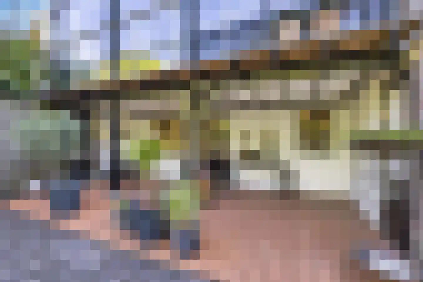 Kornputsingel 18 Steenwijk thumbnail 50