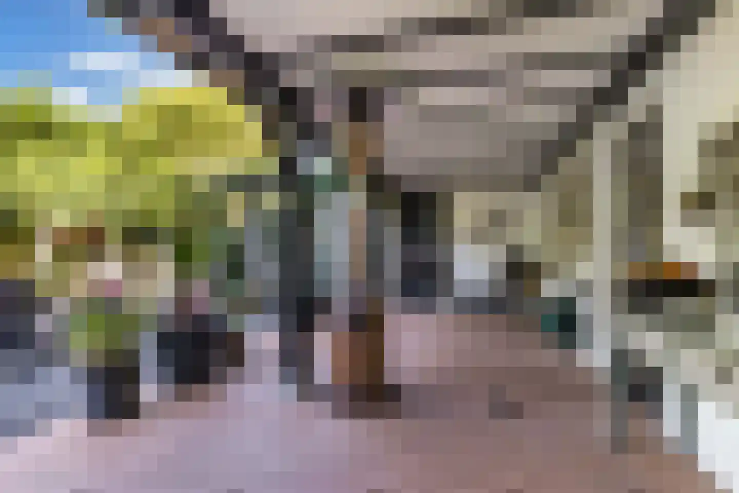Kornputsingel 18 Steenwijk thumbnail 51