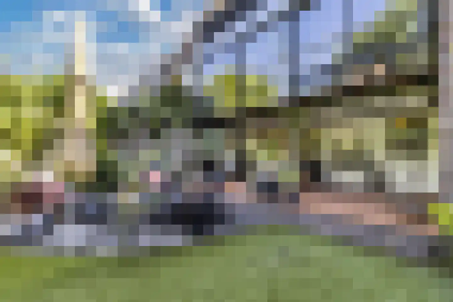 Kornputsingel 18 Steenwijk thumbnail 52